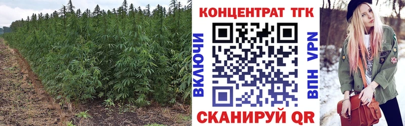 Дистиллят ТГК концентрат  Купить где  Советская Гавань 