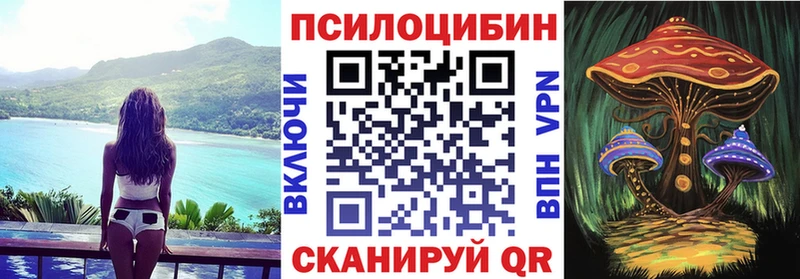 Купить  Советская Гавань  Псилоцибиновые грибы прущие грибы 